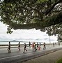 MK体育-新西兰大赛集结豪强，巅峰对决尽显风采